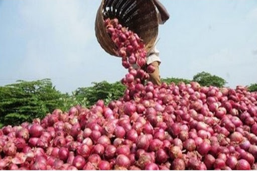 ONIONS/kg - Image 5
