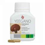 YEEGANO CAPSULE 30’s