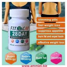 FIT TEA 28 DAYS CAPSULES - Image 5